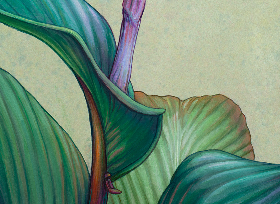 detail